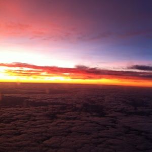 Meet your Posher, Sharonda